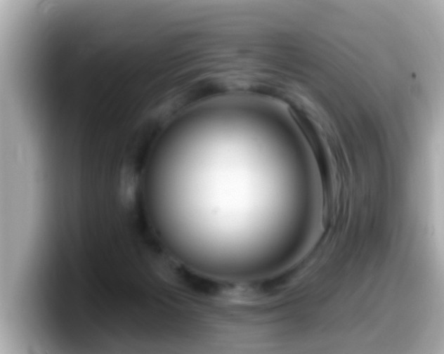 X0000099560125200805231520