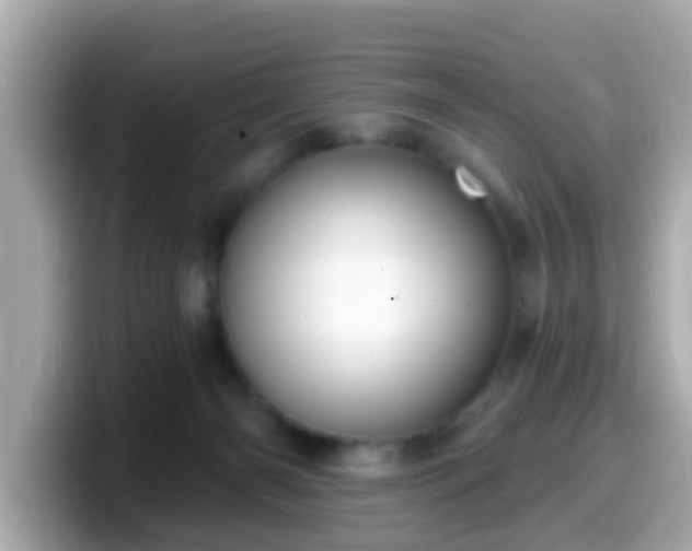 X0000099560126200805231520