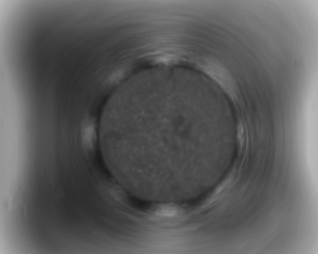 X0000099560127200805231520