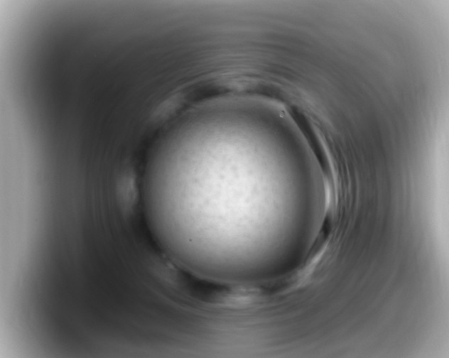 X0000099560128200805231520