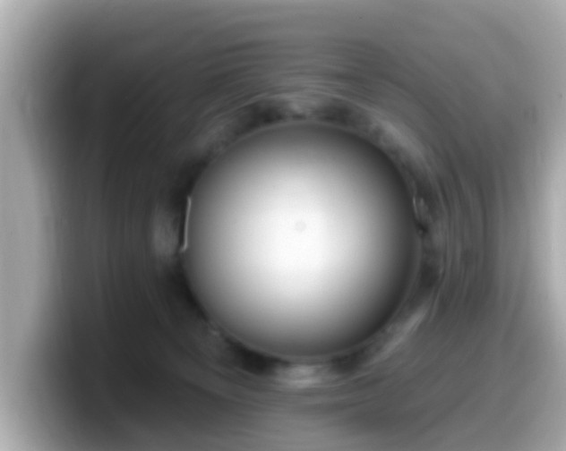 X0000099560129200805231520