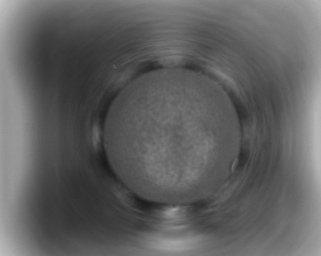 X0000099560130200805231519