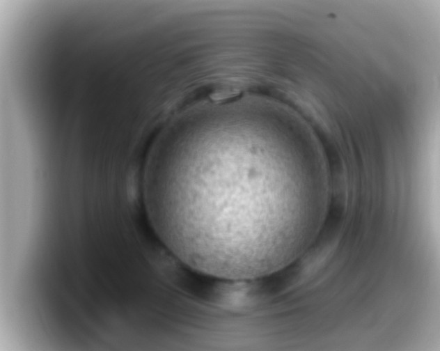 X0000099560131200805231519