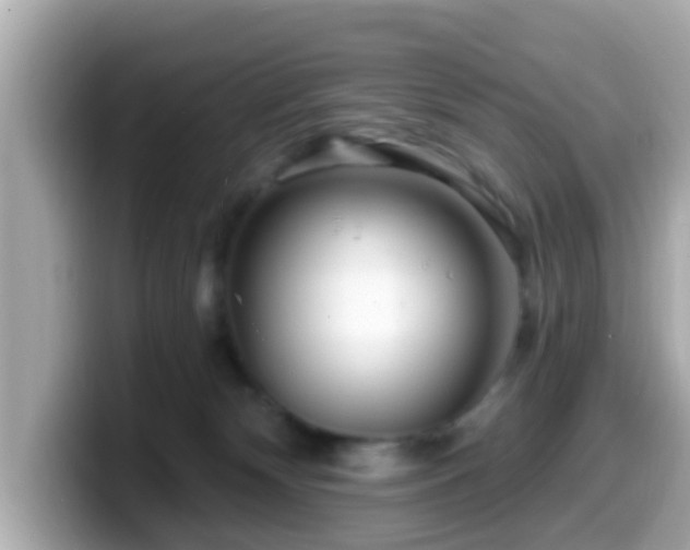 X0000099560132200805231519