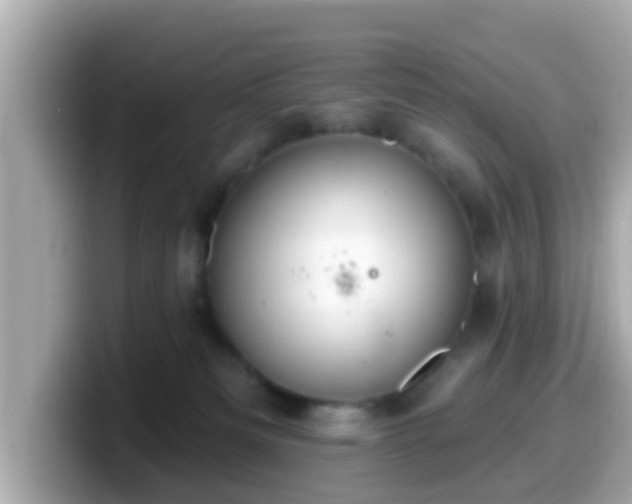 X0000099560133200805231519