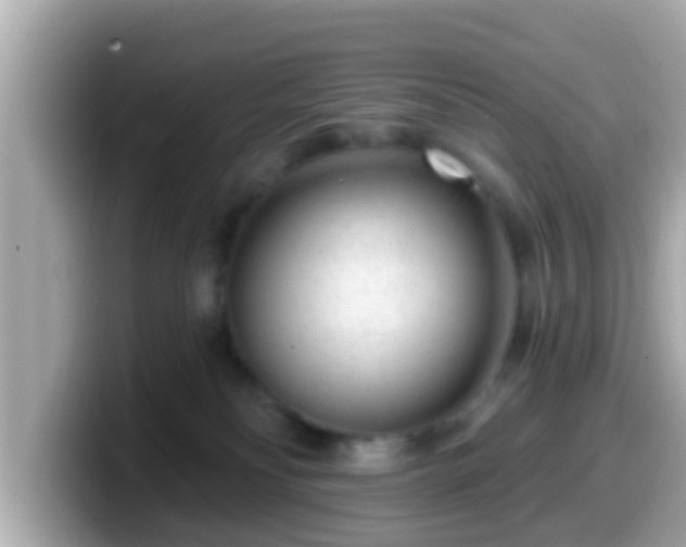 X0000099560134200805231519