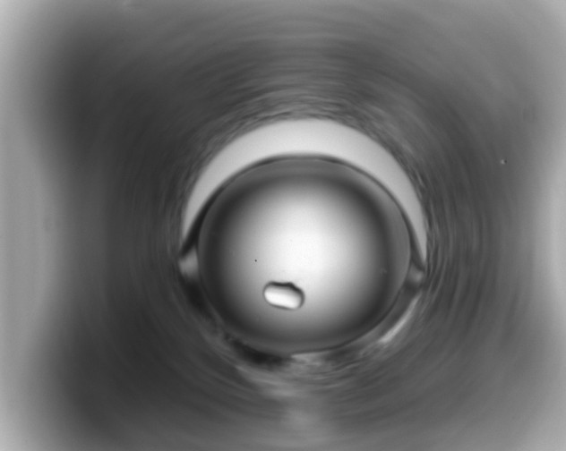 X0000099560136200805231519