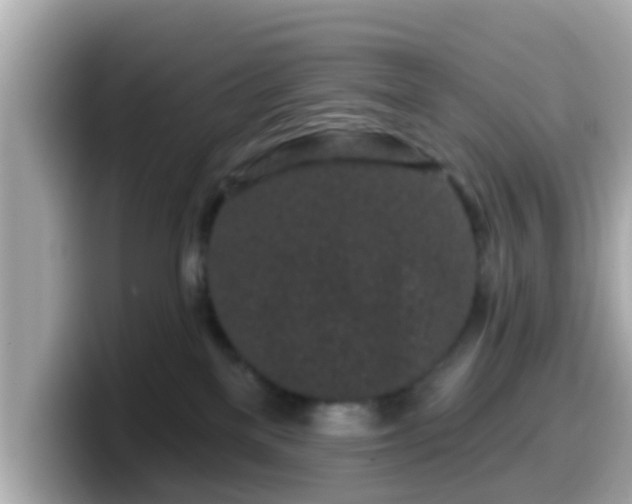 X0000099560137200805231519