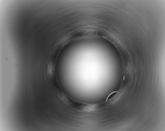 X0000099560138200805231519