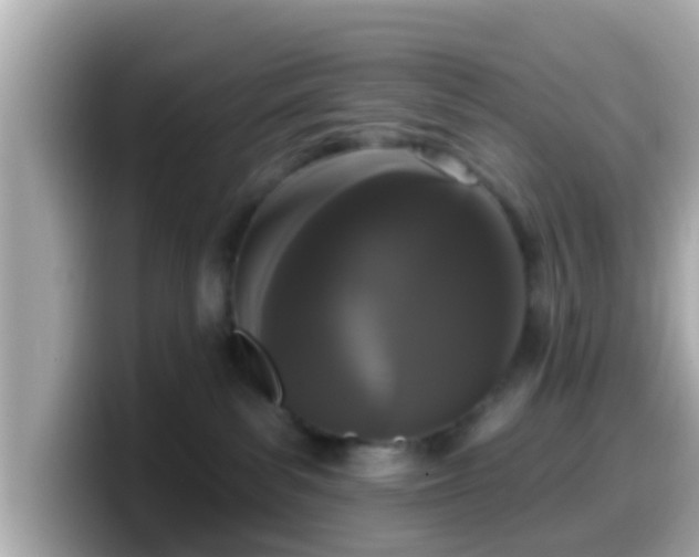 X0000099560139200805231519