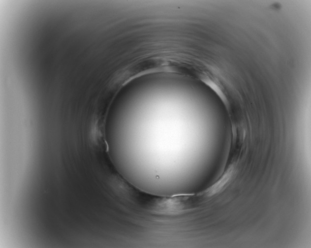 X0000099560140200805231519