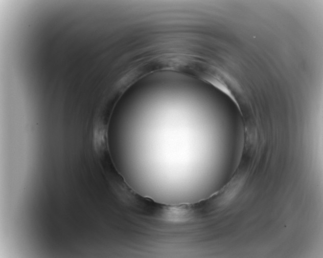 X0000099560141200805231519