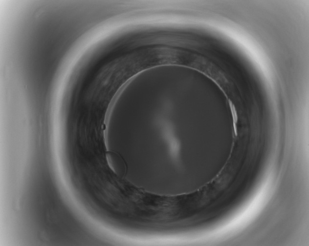 X0000099560143200805231519