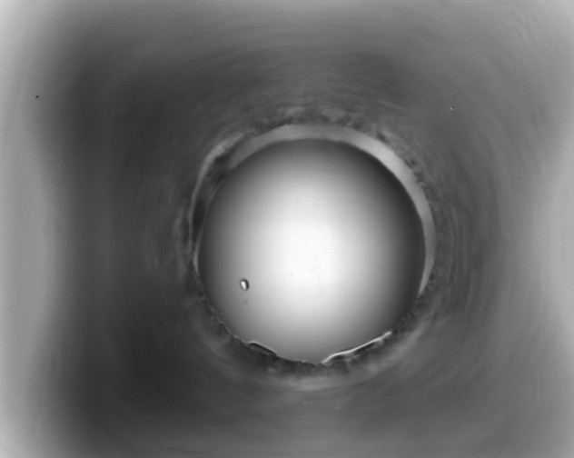 X0000099560144200805231519