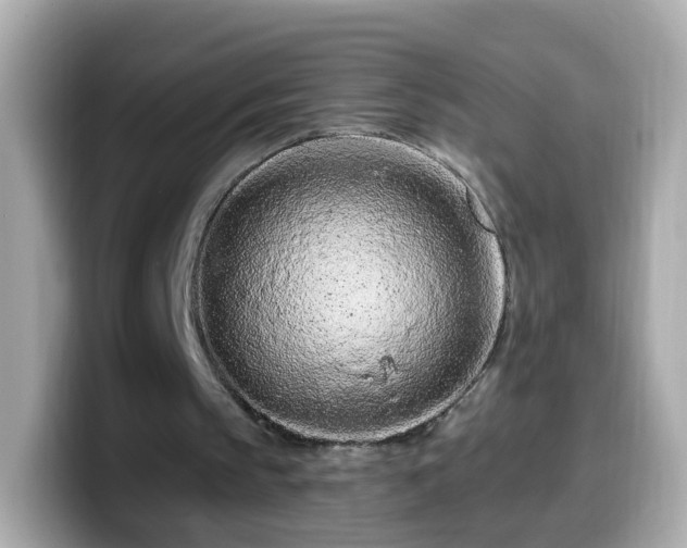 X0000099560145200805231519