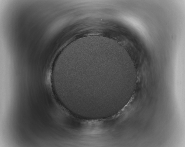 X0000099560146200805231519