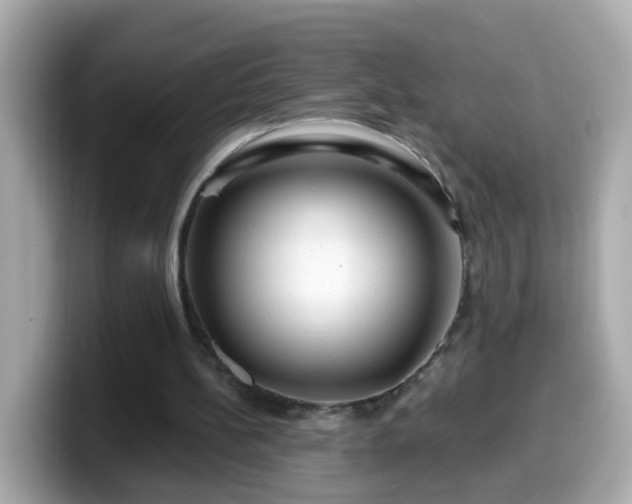 X0000099560148200805231519