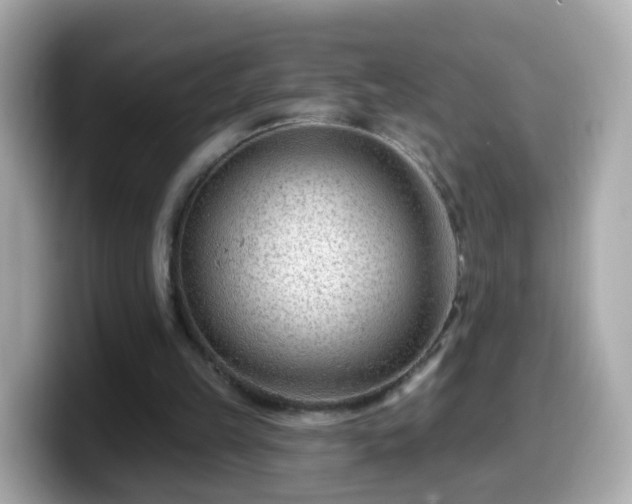 X0000099560149200805231519