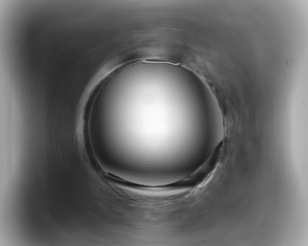 X0000099560150200805231519