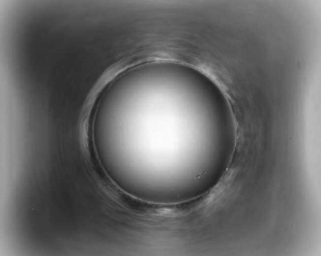 X0000099560151200805231519