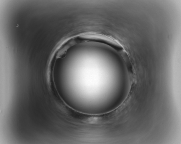 X0000099560152200805231519