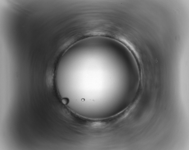 X0000099560153200805231519