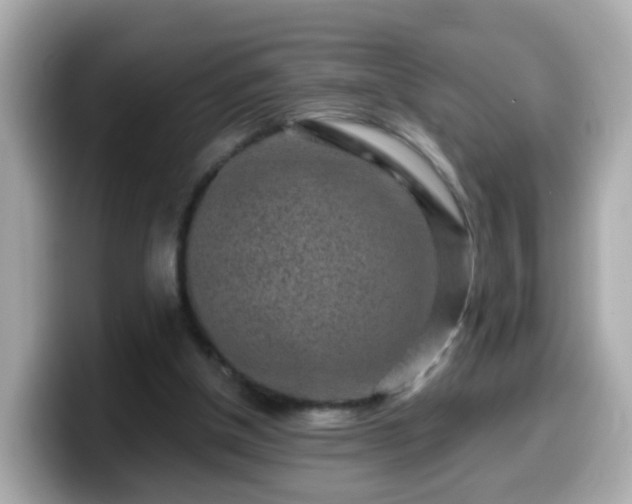 X0000099560154200805231519