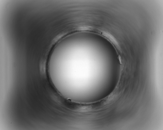 X0000099560155200805231519