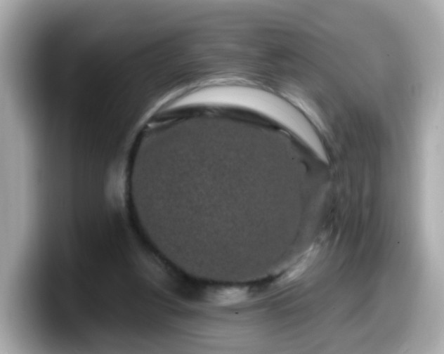 X0000099560156200805231519