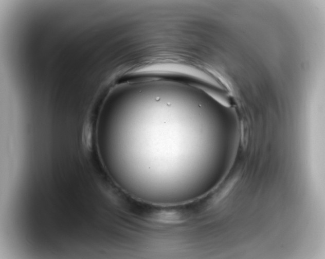 X0000099560157200805231519