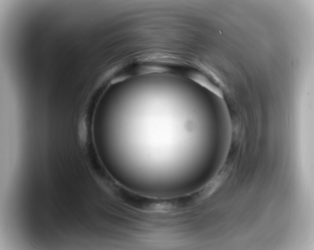 X0000099560158200805231519