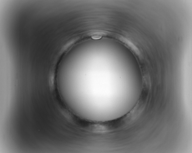 X0000099560159200805231519