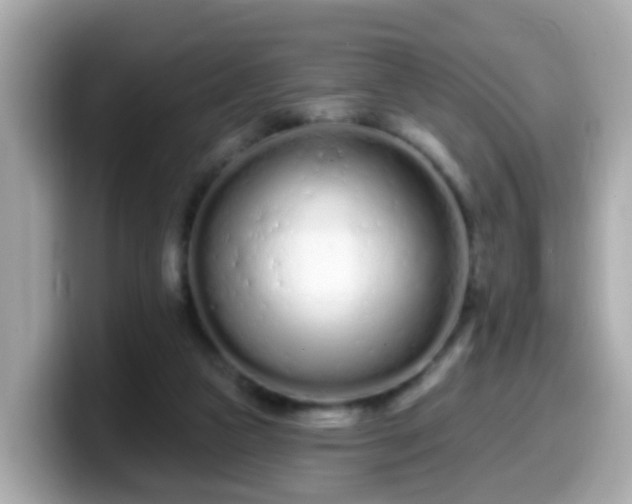 X0000099560161200805231519