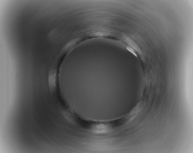 X0000099560163200805231519