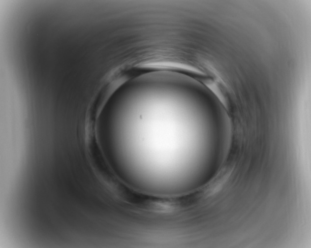 X0000099560164200805231519