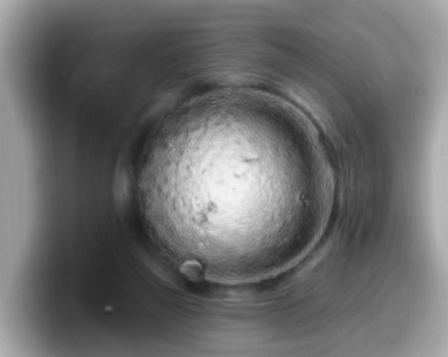 X0000099560165200805231519