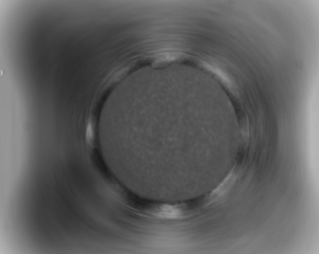 X0000099560166200805231519