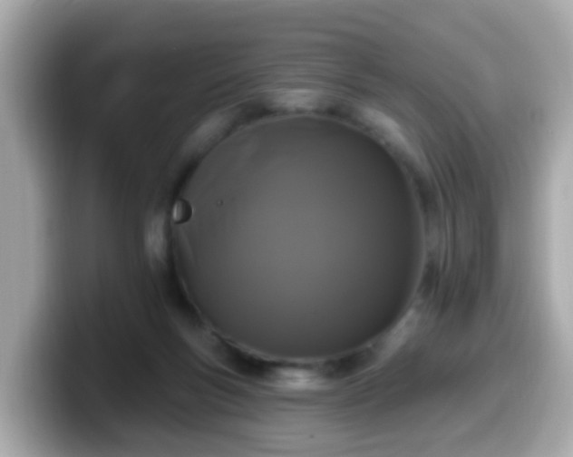 X0000099560167200805231519