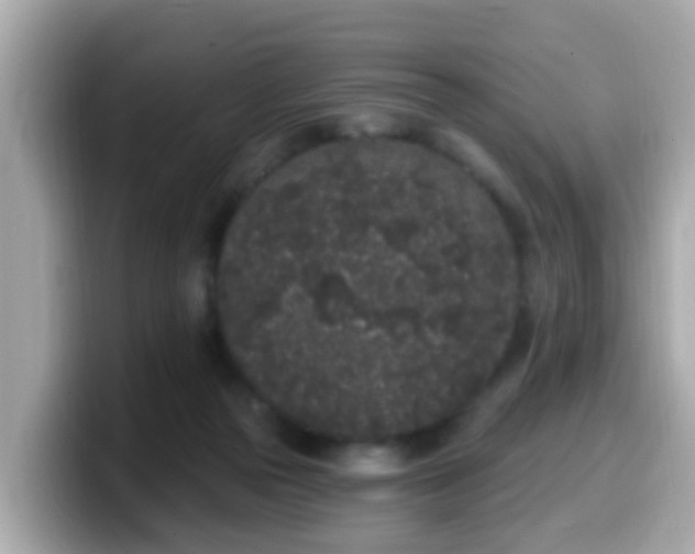 X0000099560169200805231519