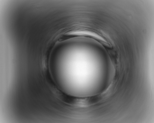 X0000099560170200805231519