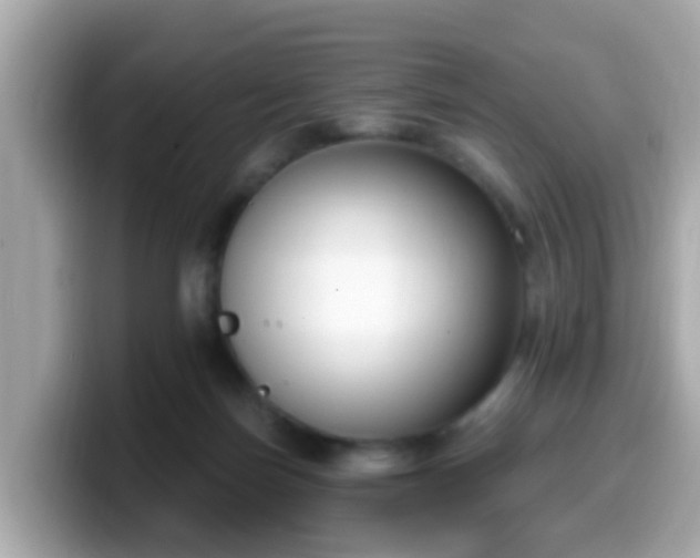 X0000099560171200805231519