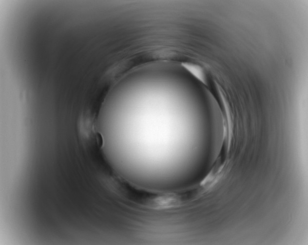 X0000099560172200805231519