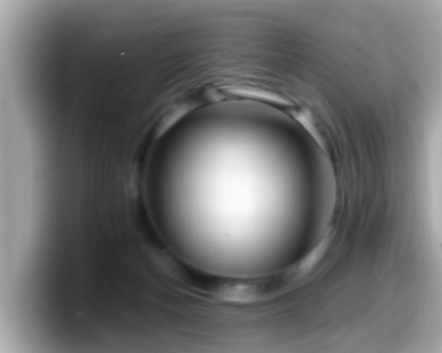 X0000099560174200805231519