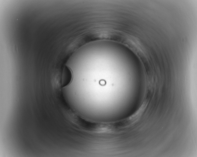 X0000099560175200805231519