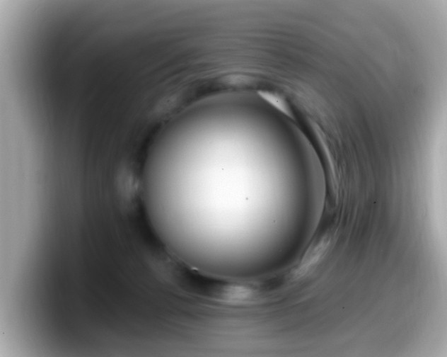 X0000099560176200805231519