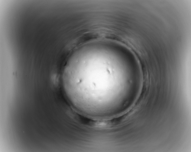 X0000099560177200805231519