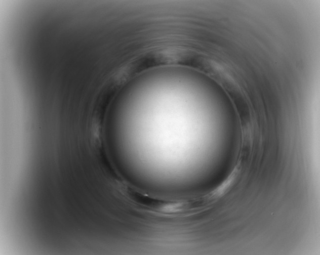 X0000099560178200805231519