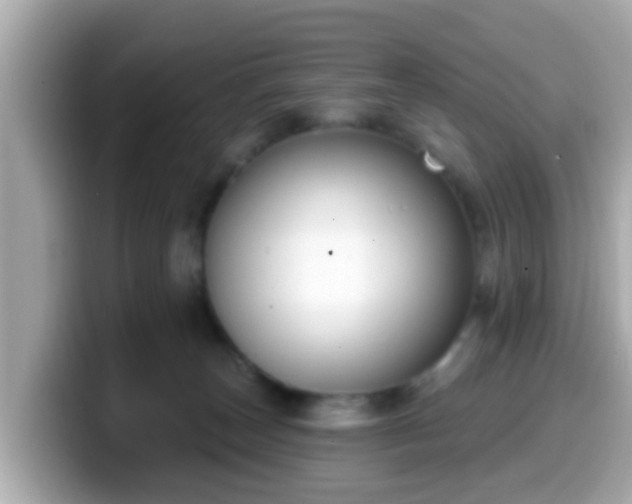 X0000099560179200805231519