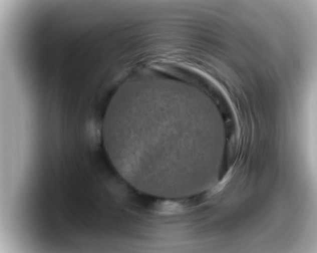 X0000099560180200805231519