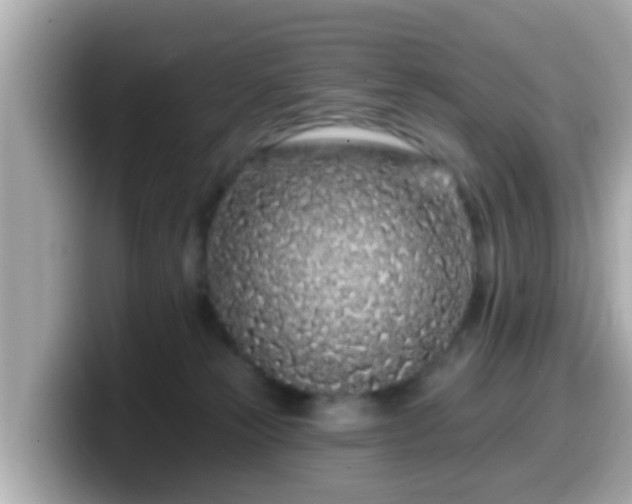 X0000099560181200805231519